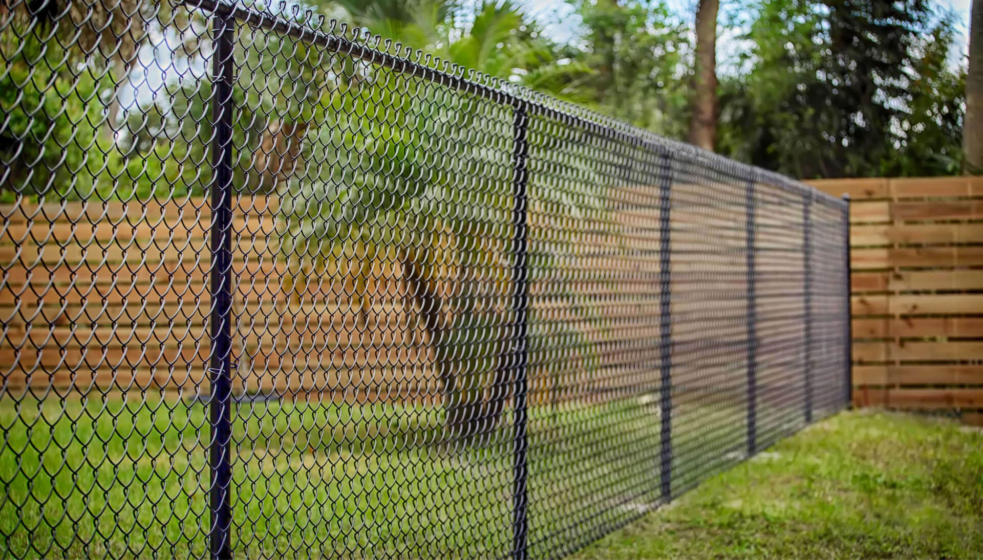 Chain Link Fencing services in Springfield