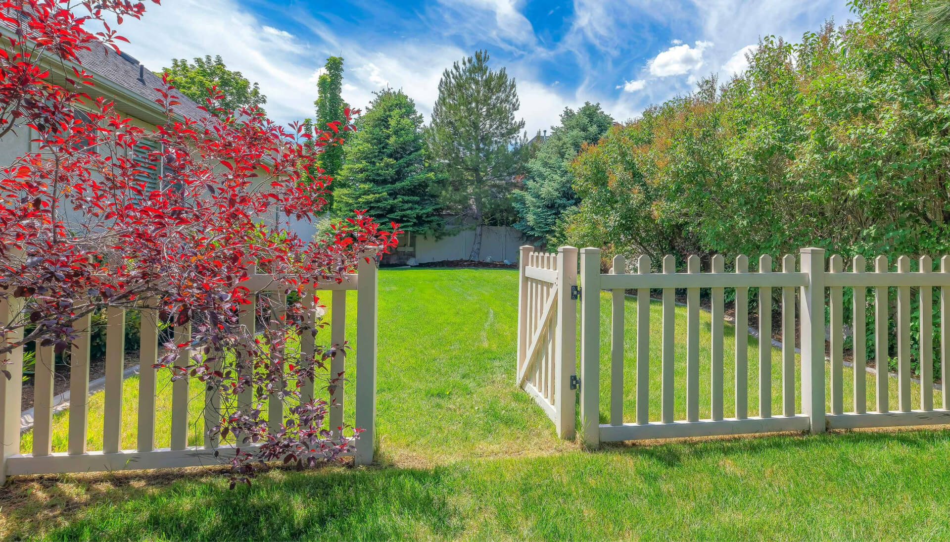 A functional fence gate providing access to a well-maintained backyard, surrounded by a wooden fence in Springfield